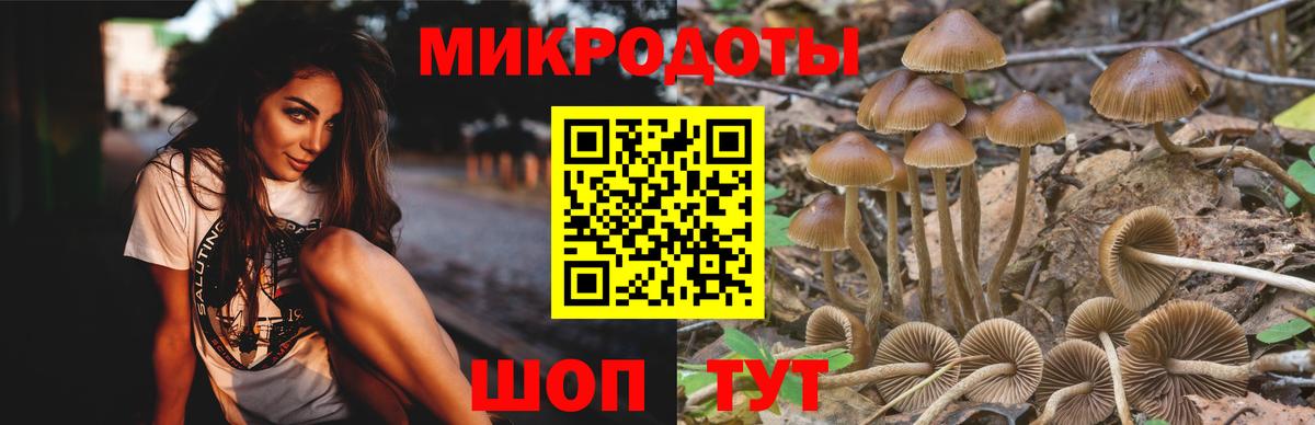 Псилоцибиновые грибы прущие грибы  Вход с VPN  Азов 